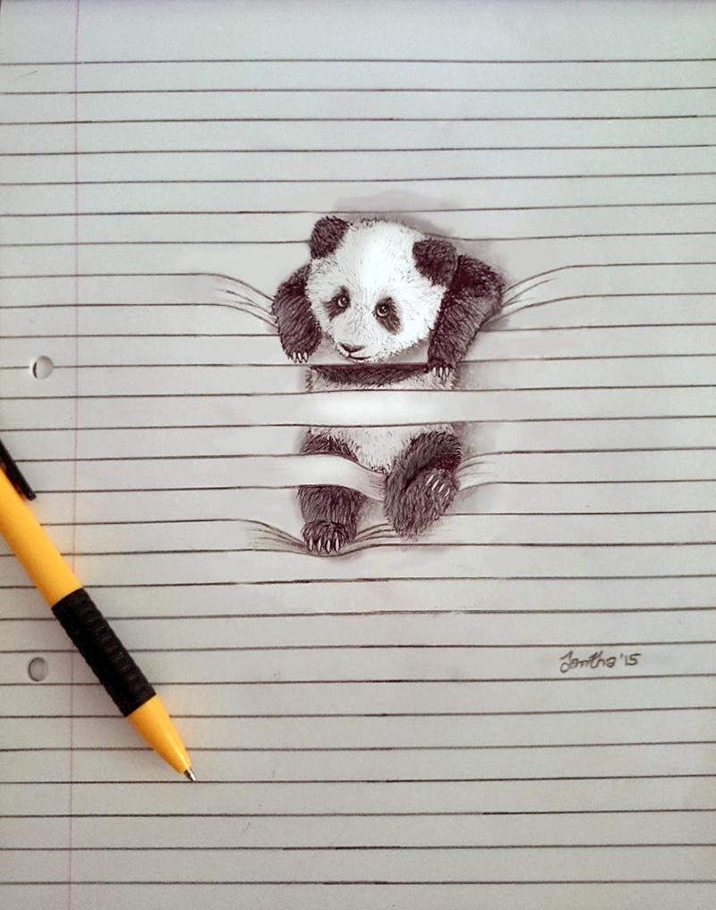 righe-panda