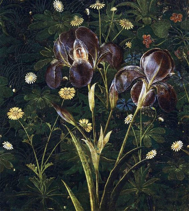 fiori di Botticelli
