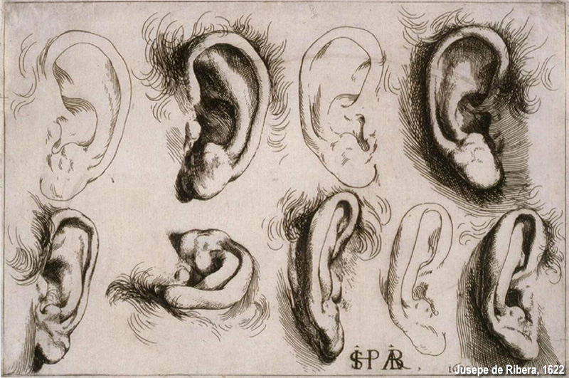 Jusepe de Ribera studio dell'orecchio