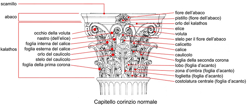 lapsus-capitello