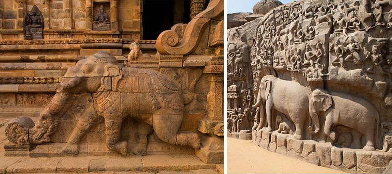 elefante-tempio-indu