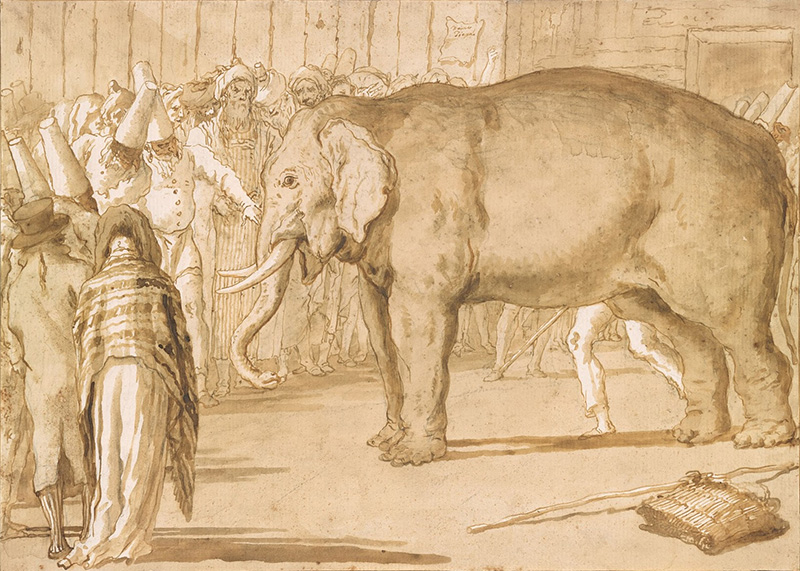 elefante-tiepolo