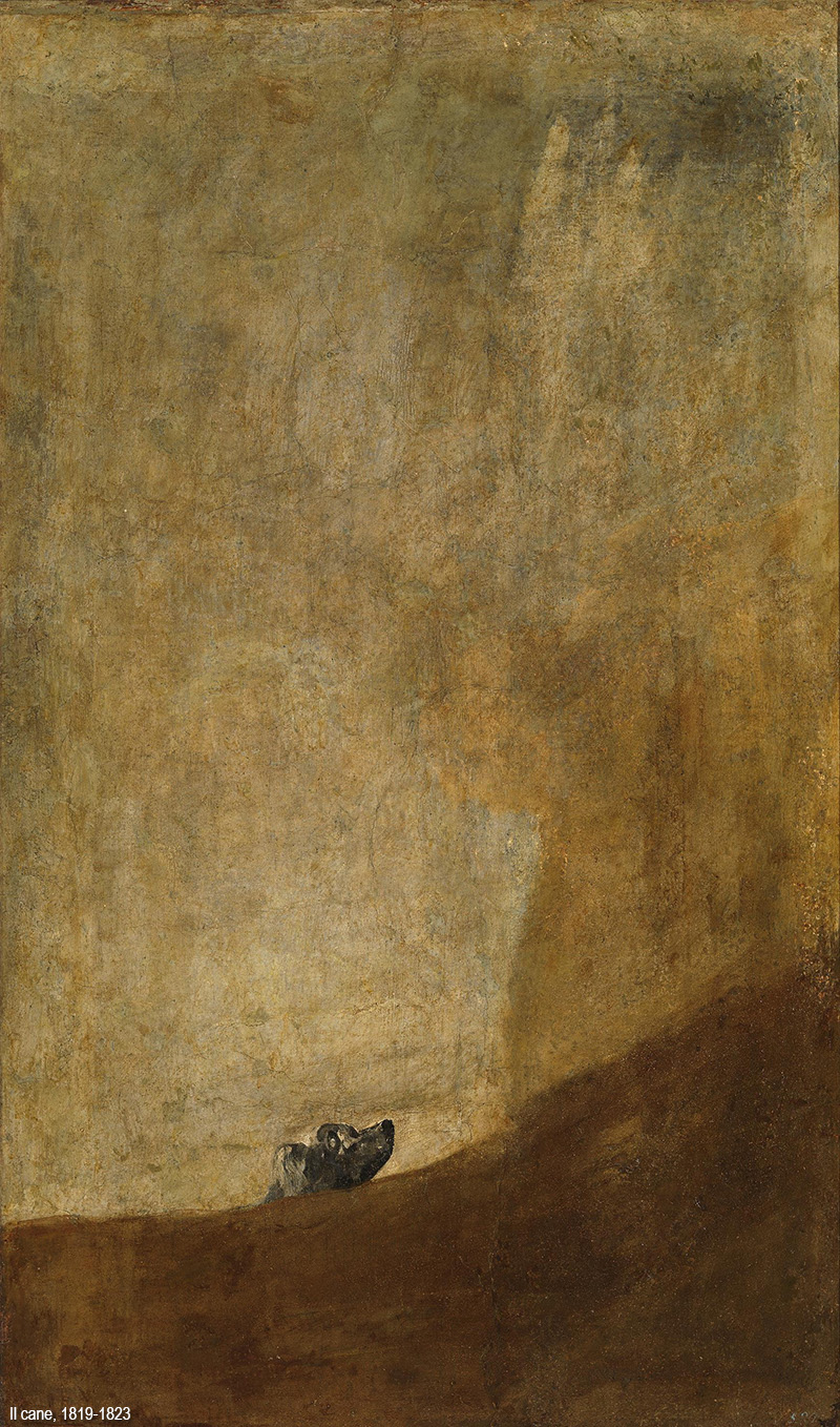 goya-cane