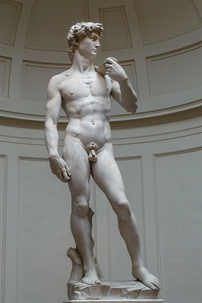 david-michelangelo