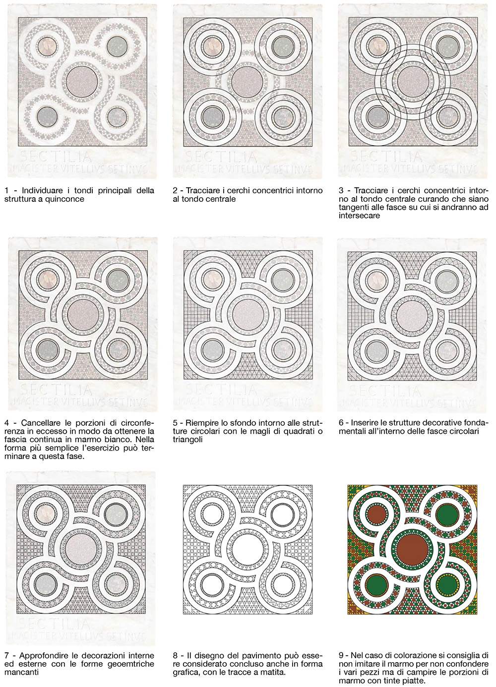 cosmatesco-vitellius-disegno