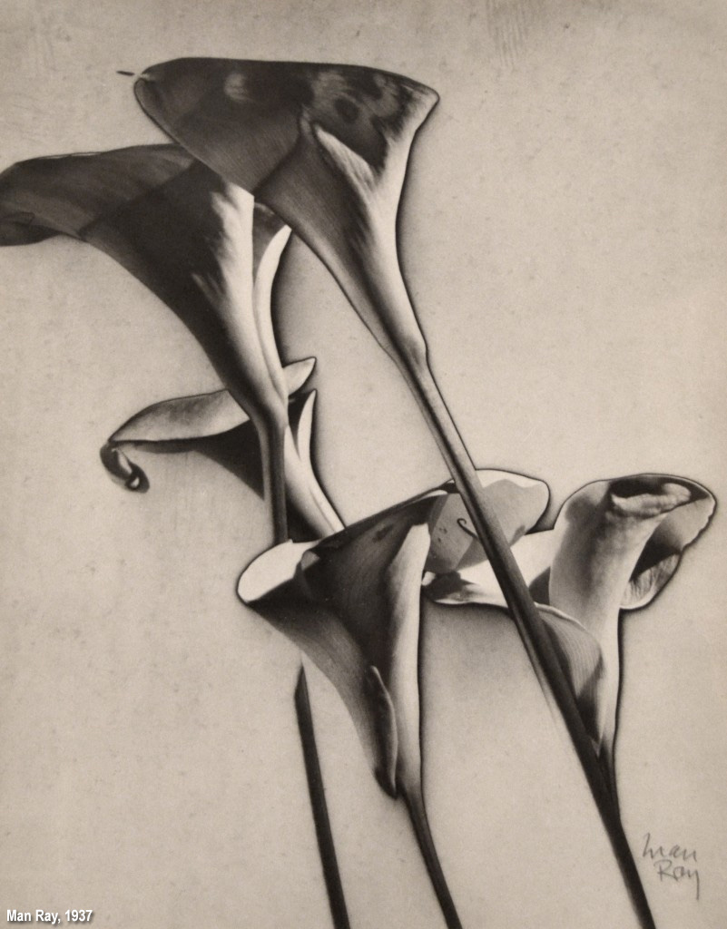 fiori solarizzati di Man Ray