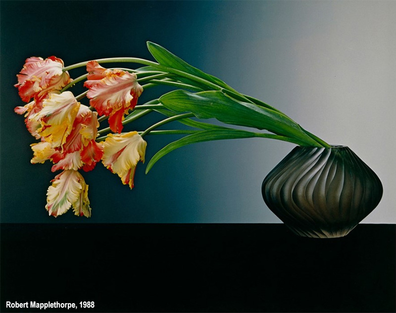 fiori di Mapplethorpe