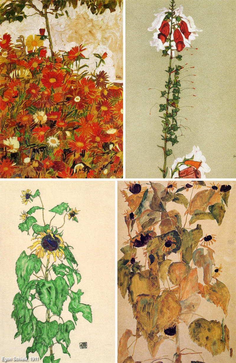 fiori di Schiele