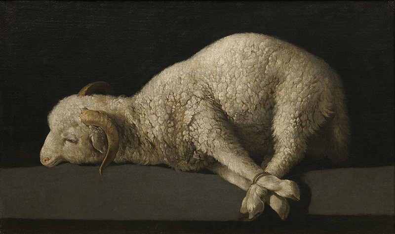 Agnus Dei di Zurbaran